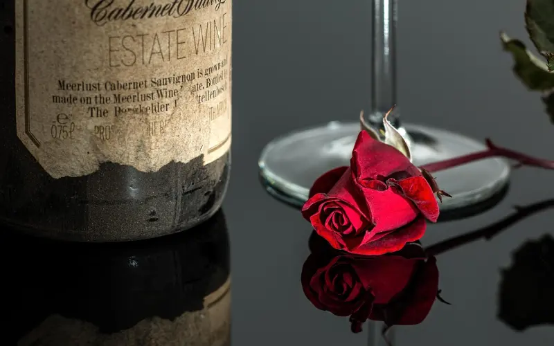 那些年，我们爱过的紫霞