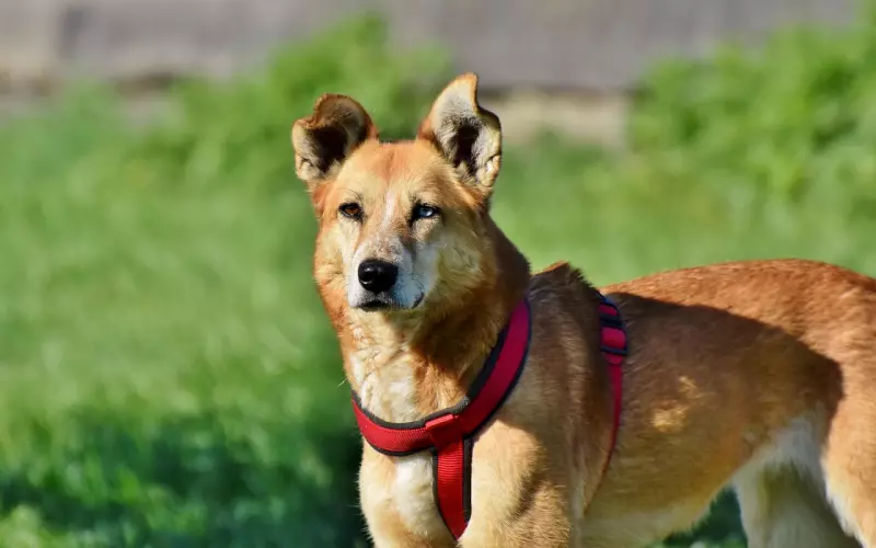 微信中，男人朋友圈设置“仅看三天”，其实暗藏了这四种“玄机”