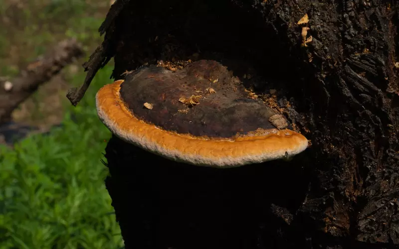 什么样的情况还有挽回的余地