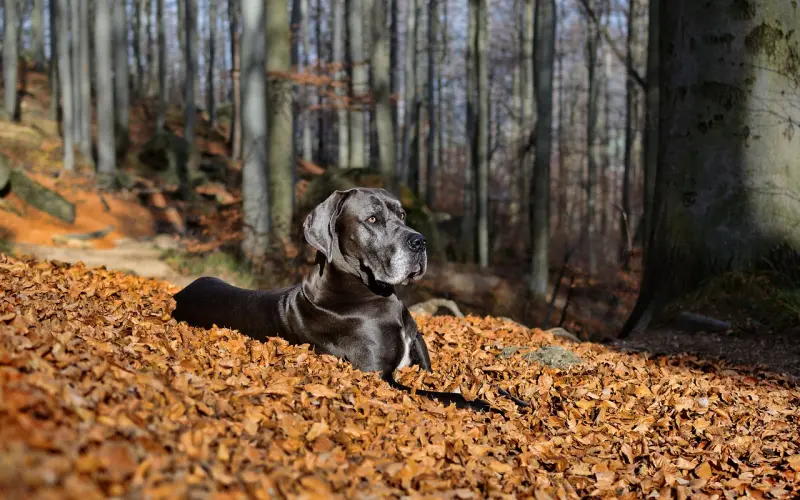 【盗梦空间】梦境——一切并非看上去那么简单