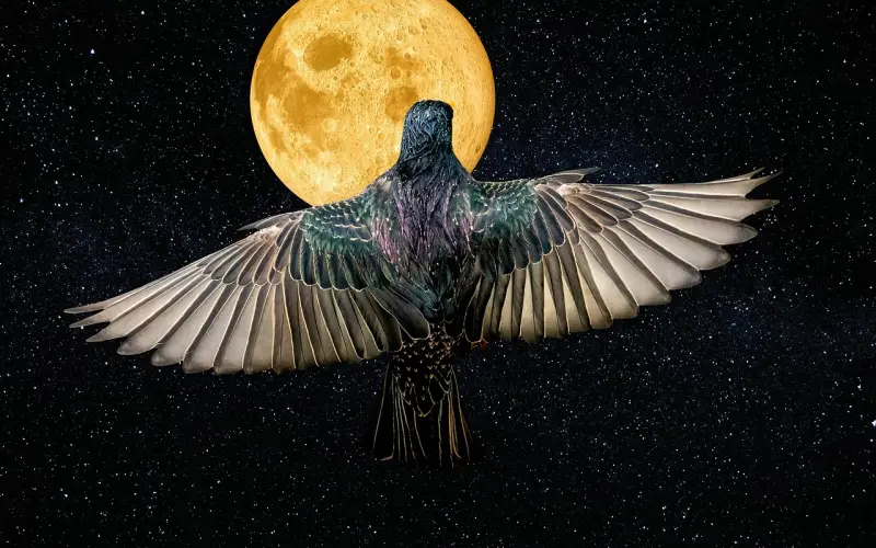 【盗梦空间】四角恋，我们都梦见了彼此