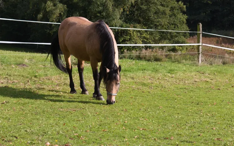 【盗梦空间】那件不适合你的衣服，到底意味着什么？