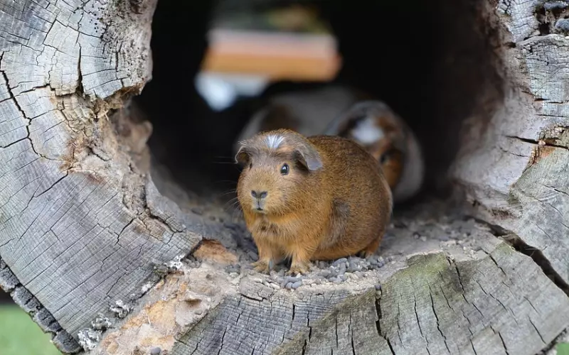 增加自己的外在与内在的条件，是你必修的学分