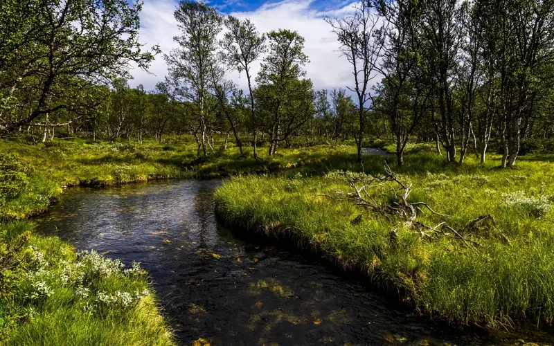 说不清的女人味