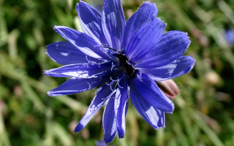 不争是争：遭遇婚外情等，人生难题这种处理方法，才是上上策