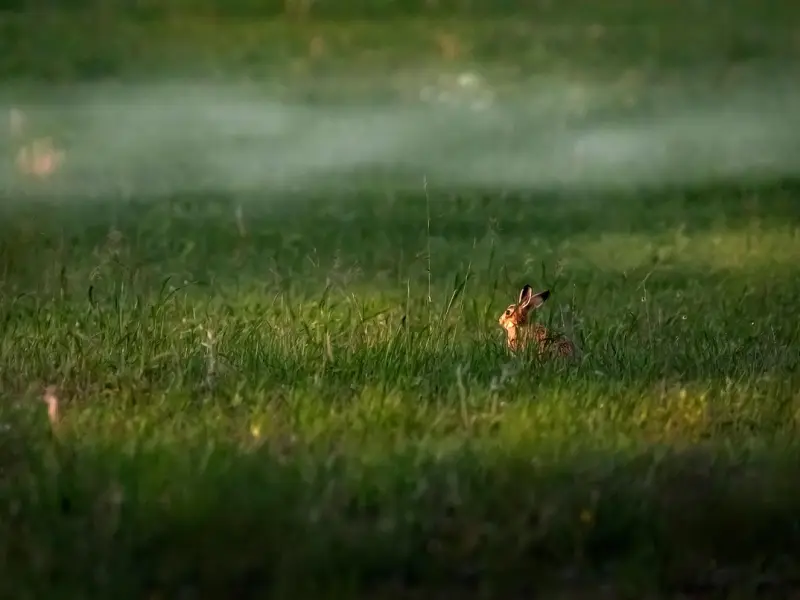 女生在感情中与其多付出，不如少做这些事