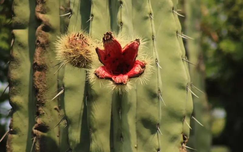 与其怀疑老公出轨，不如跟他好好沟通经营好婚姻