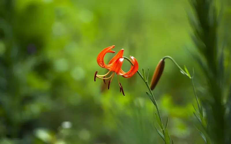 解读挽回爱人过程中的合理化行为