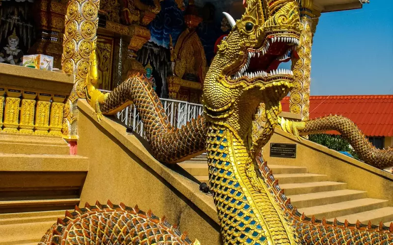 为泰国师傅介绍之—龙普Thub