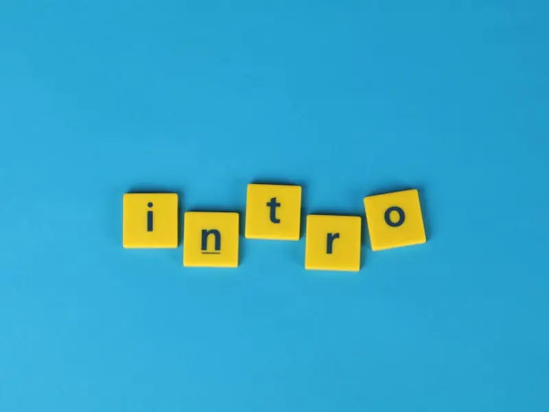 喂狗(WeGo)有偿情感服务介绍