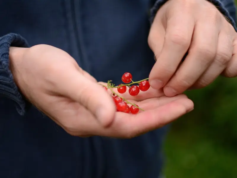 男人的面子真的有那么重要吗？