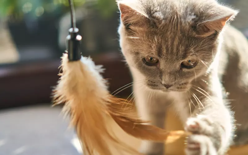 男人的嘴骗人的鬼？2个小细节帮你判断男生的承诺是否靠谱