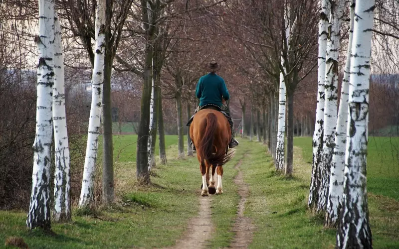 天蝎男是挽回不了的？有这些方法你也能成功