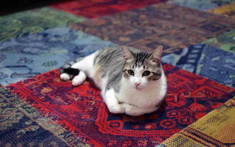 离婚到底是好事还是坏事