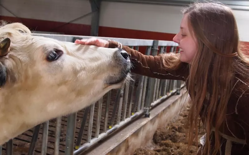 宠爱女友成了分手的理由？我没看错吧？