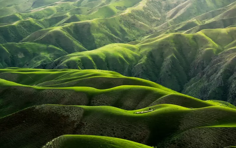 婚外情对男人的吸引力就那么大吗(婚外情不要把男人想的有多好)