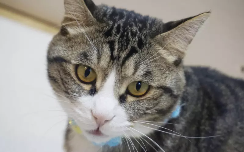 他是不是婚前不想付出的那种人呢？