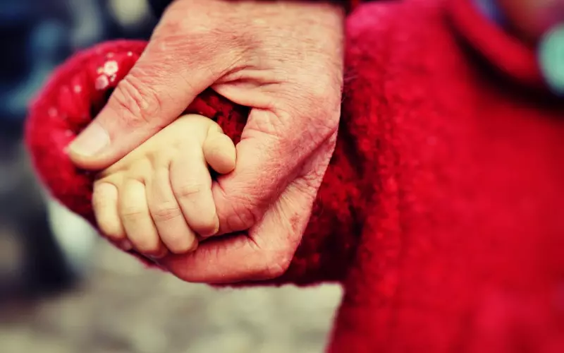 花镇情感挽回可靠吗？情感导师教你逐步挽回爱情