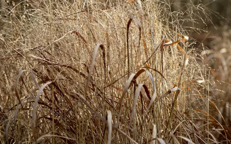 男的伤透了心我拼命挽回有用吗