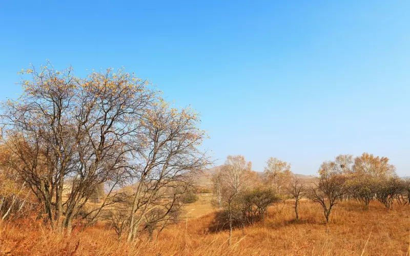 分手后想挽回适合写一封挽回信吗(一句话挽回男友挽回话术你知道吗)