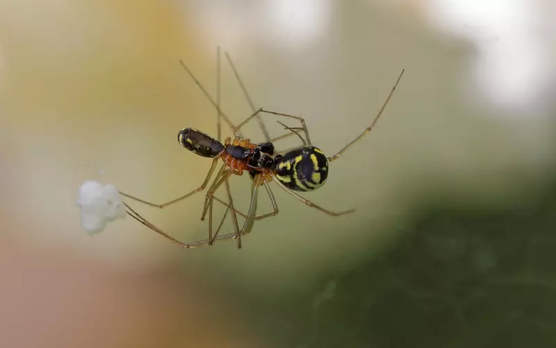 用出轨报复出轨，这是疯了吗？