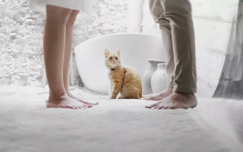 婚外情时间越短越容易走出来吗(婚外情的长短取决于这三个细节)