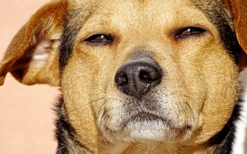 男人说累了是不是无法挽回了，男友说累了该怎么办