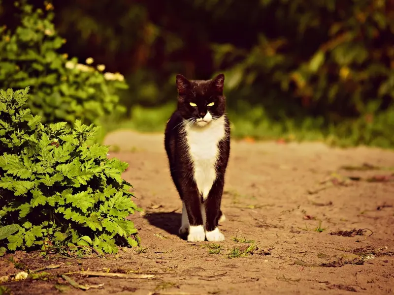 挽回爱情难度增加，是不是因为你做了这件事