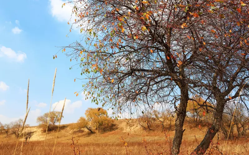 有没有必要和前任挑明关系(可以向现任坦白没放下前任的事吗)