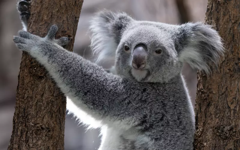 吵架之后被拉黑有没有必要挽回