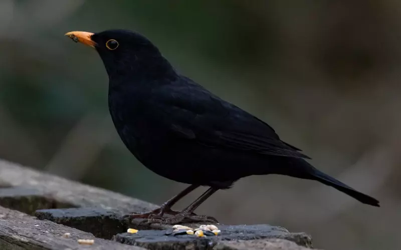 被男的拉黑还用挽回吗