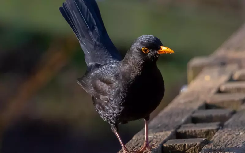 被男的拉黑还用挽回吗