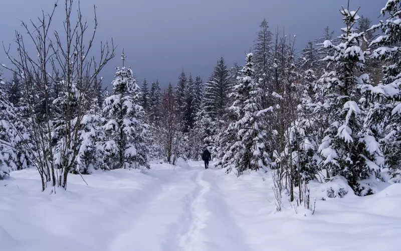 被删除了有必要挽回吗？