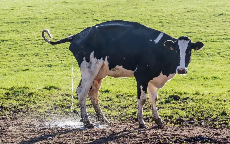 被删除了有必要挽回吗？