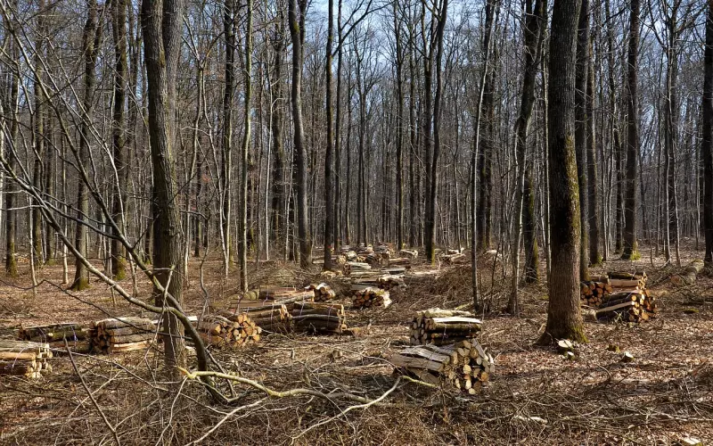 婚后AA可不可行？经济可以独立，人心不能分离