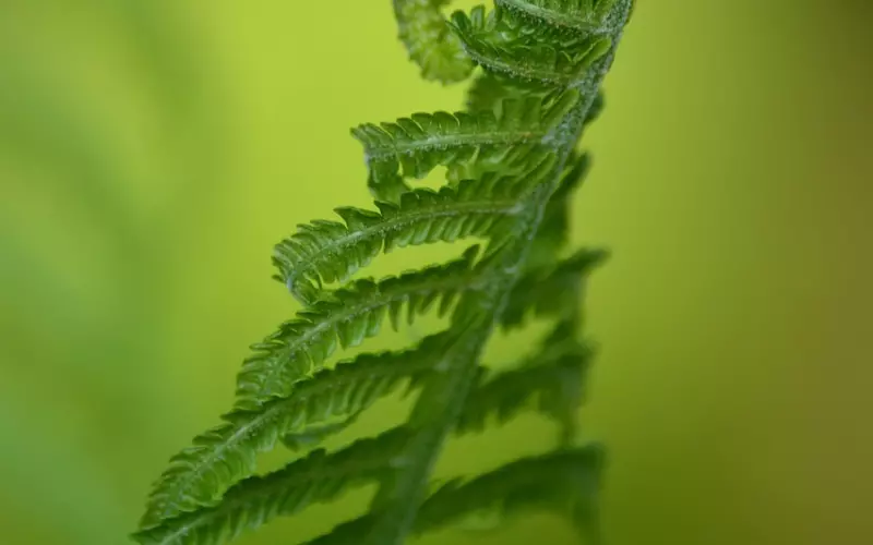 分手之后有和好的可能吗？
