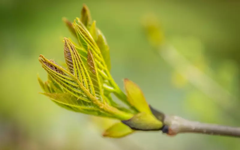 断联了还有可能挽回吗