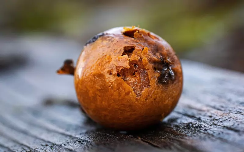 死缠烂打被拉黑还能挽回吗