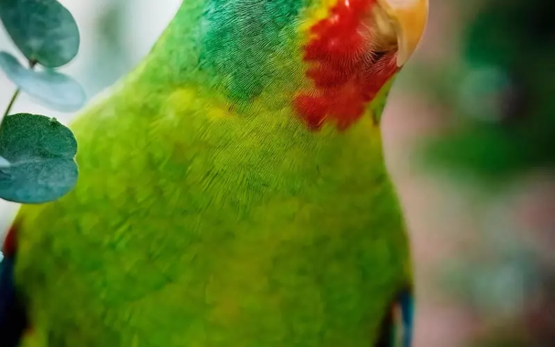 删了对方两次微信还能挽回吗