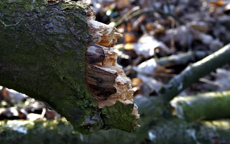 断联了还有可能挽回吗