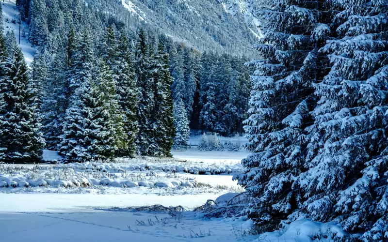 纠缠被对方嫌弃还能挽回吗