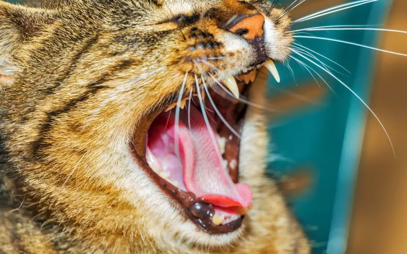 删了所有联系方式还有挽回吗？