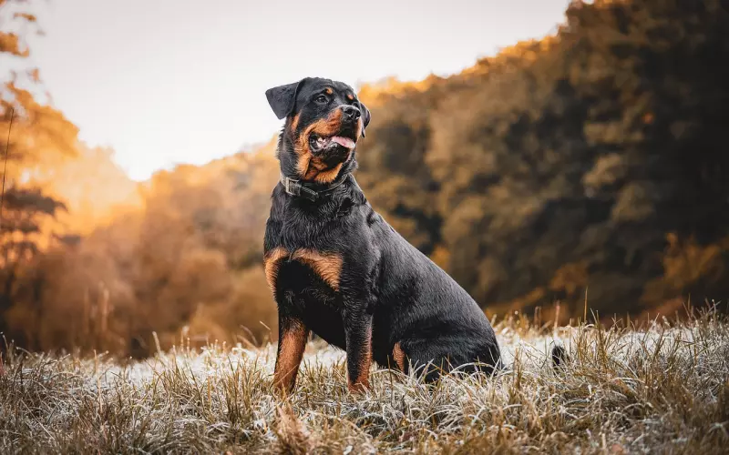 死缠烂打挽回爱情可行吗