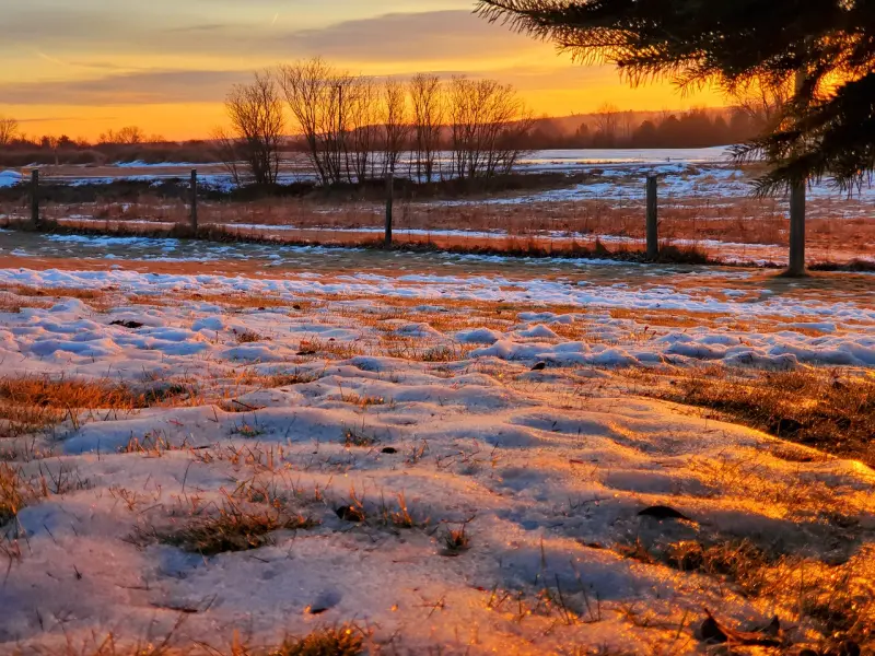 挽回前任突然冷淡，是不是真的没希望了？