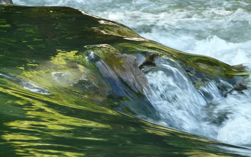 挽回前任真的需要断联吗？为什么要断联？