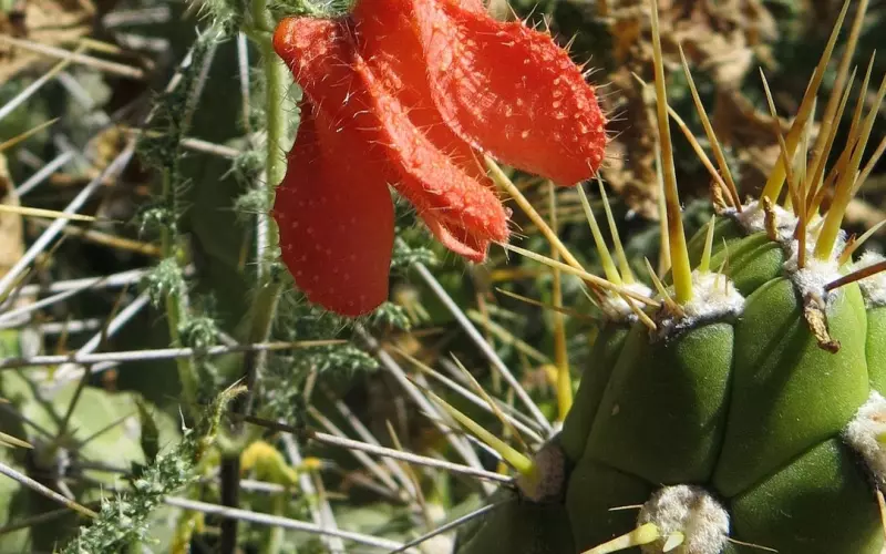 掌控有钱男人的心太难？只怪你没领悟到精髓！