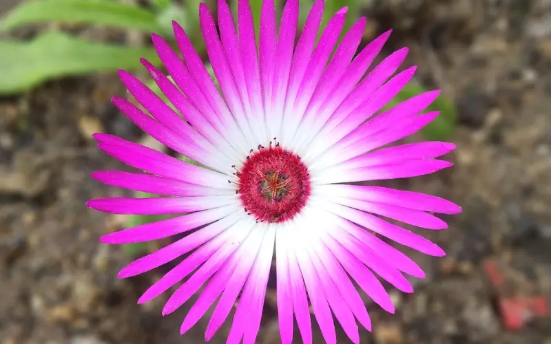 男友提出分手有真假？花镇情感导师教您识别和处理