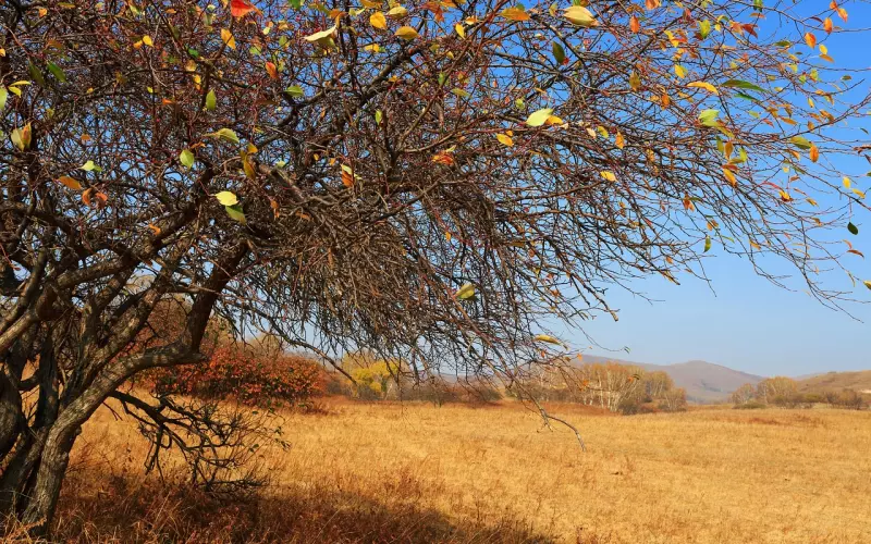 失恋以后挽回一段感情到底值不值(失恋一个多月了怎样挽回前任女友)