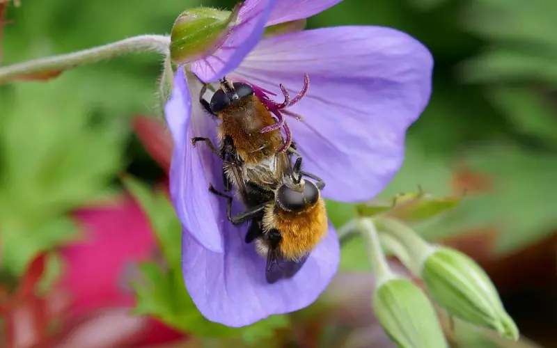 婚前拒绝性行为到底是错还是对？