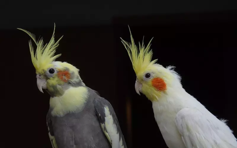 恋爱婚姻家庭是不是一种很玄很玄的缘分？